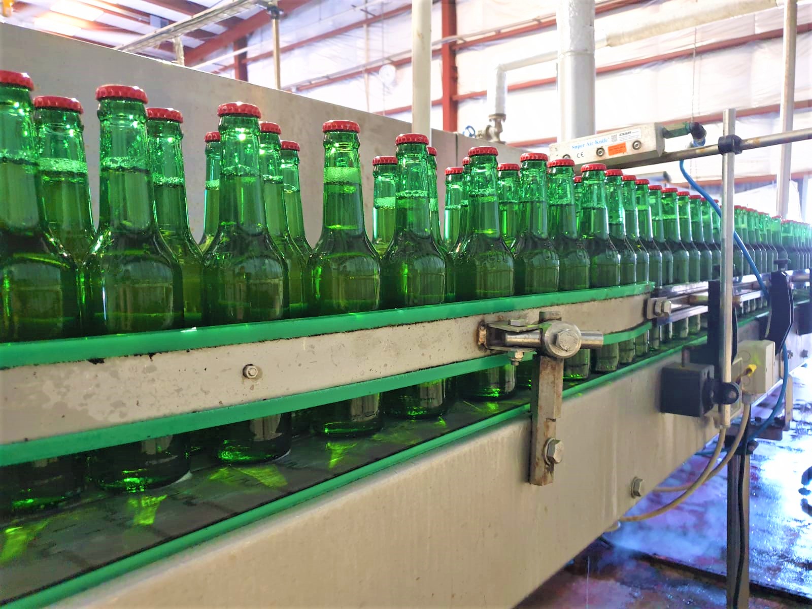 beer-pasteurization-blog