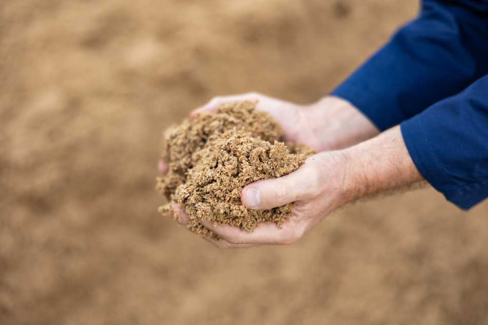 REUSING SPENT GRAINS