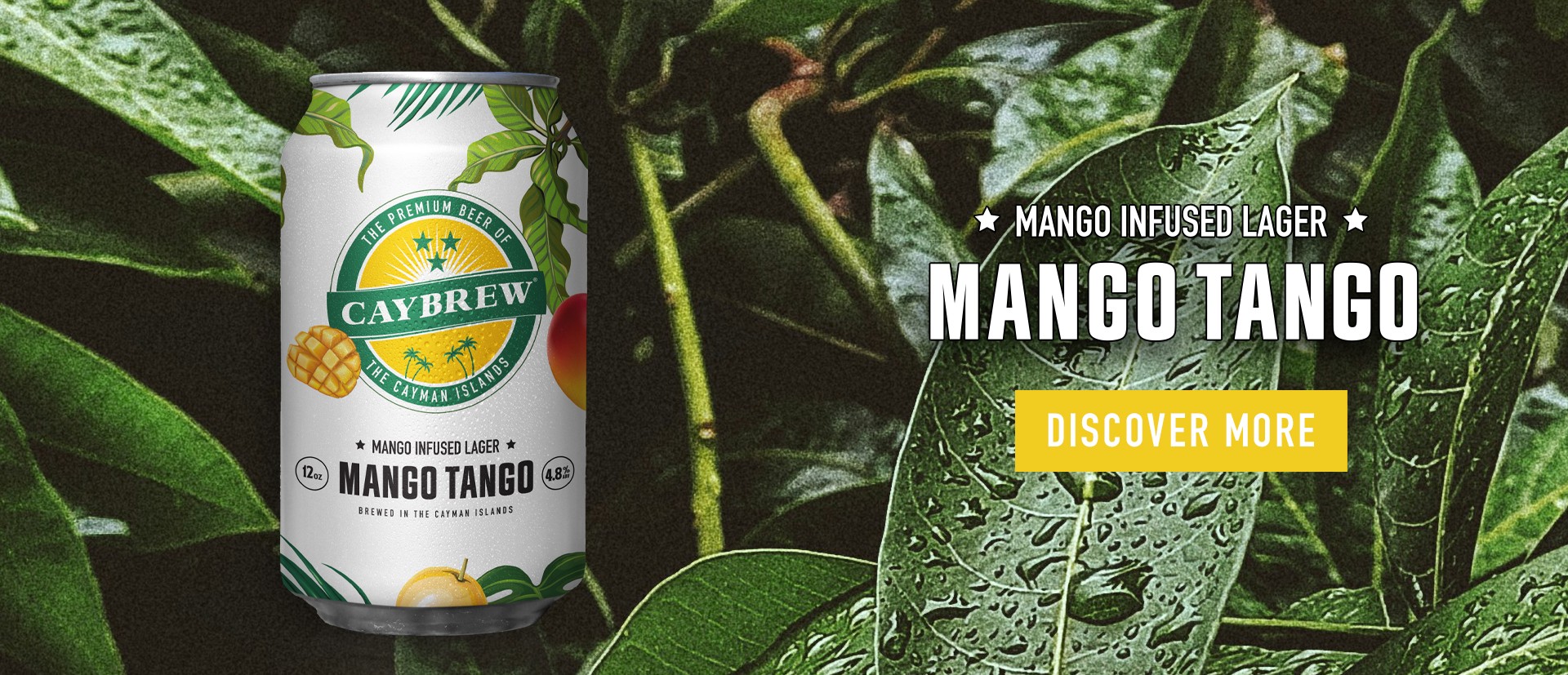 Mango Tango